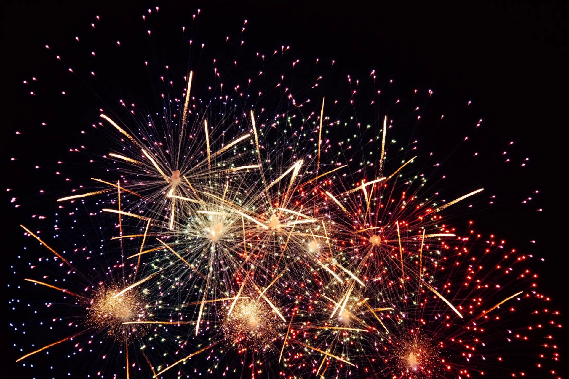 Firework